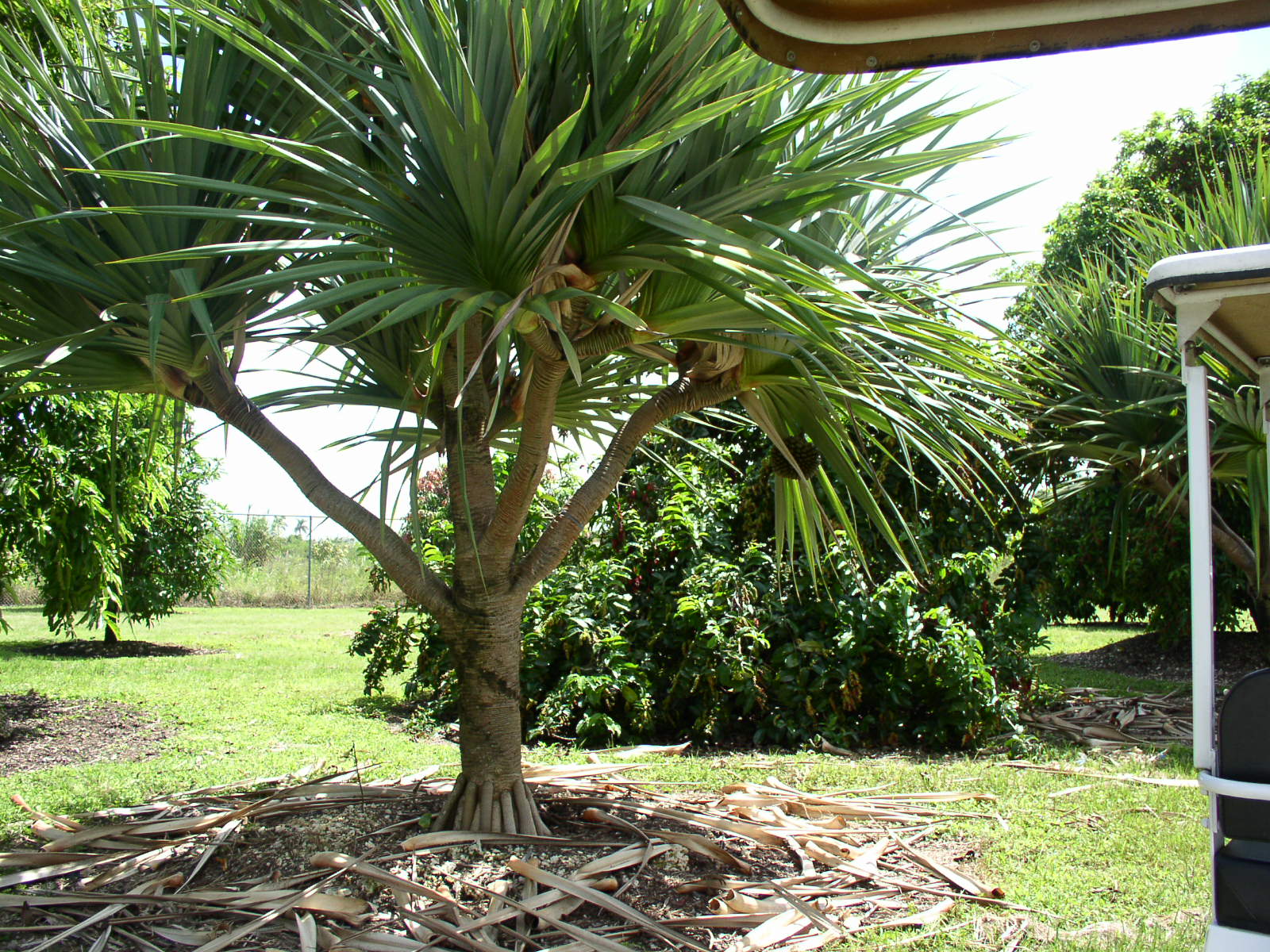 photo1